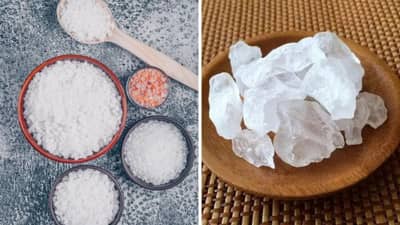 Astro Tips : घरातील वास्तूदोष दूर करण्यासाठी हा पदार्थ ठरेल फायदेशीर... नक्की ट्राय करा