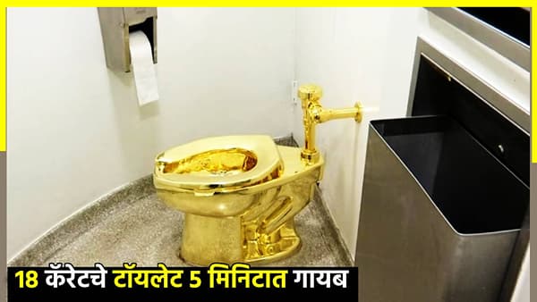 पाच मिनिटात चोरी झाले 98 किलो सोन्याचे टॉयलेट! किंमत ऐकून डोळे होतील पांढरे