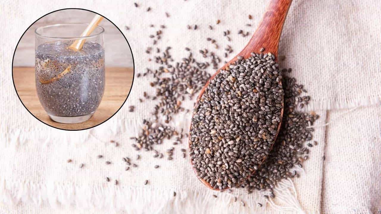 Chiaseeds Benefits: चिया सिड्स या पदार्थांसोबत खाल्ल्यामुळे वजन होईल झटपट कमी.... एकदा नक्की ट्राय करा