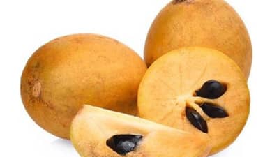 चिकू खाताय जरा थांबा... या लोकांनाही चुकूनही करू नका सेवन फायदा होण्याऐवजी होईल नुकसान