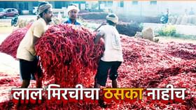 लाल मिरचीचा ठसका उतरला, स्वस्ताईने वाढला गोडवा