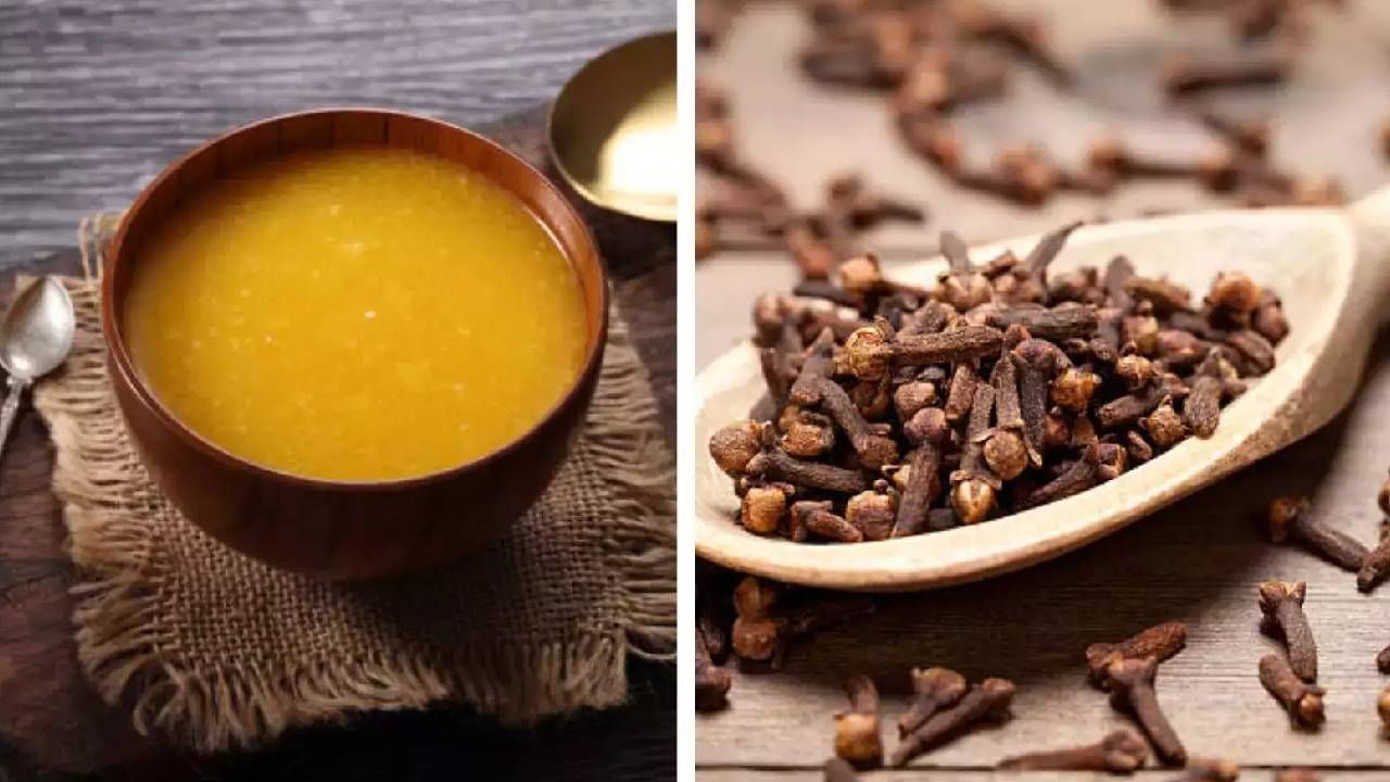 Ghee Clove Benefits: चमचाभर तुपामध्ये 'ही' पावडर मिसळा आरोग्याला होतील फायदेच फायदे