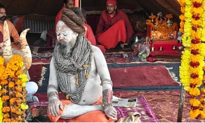 नागा बाबांनी अखेर सांगितलं रहस्य, महाकुंभनंतर नेमके कुठे जातात नागा साधू...