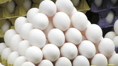 30 दिवसांत 1000 अंडी खाल्ल्यानंतर झाला जबरदस्त बदल, डॉक्टरही अवाक