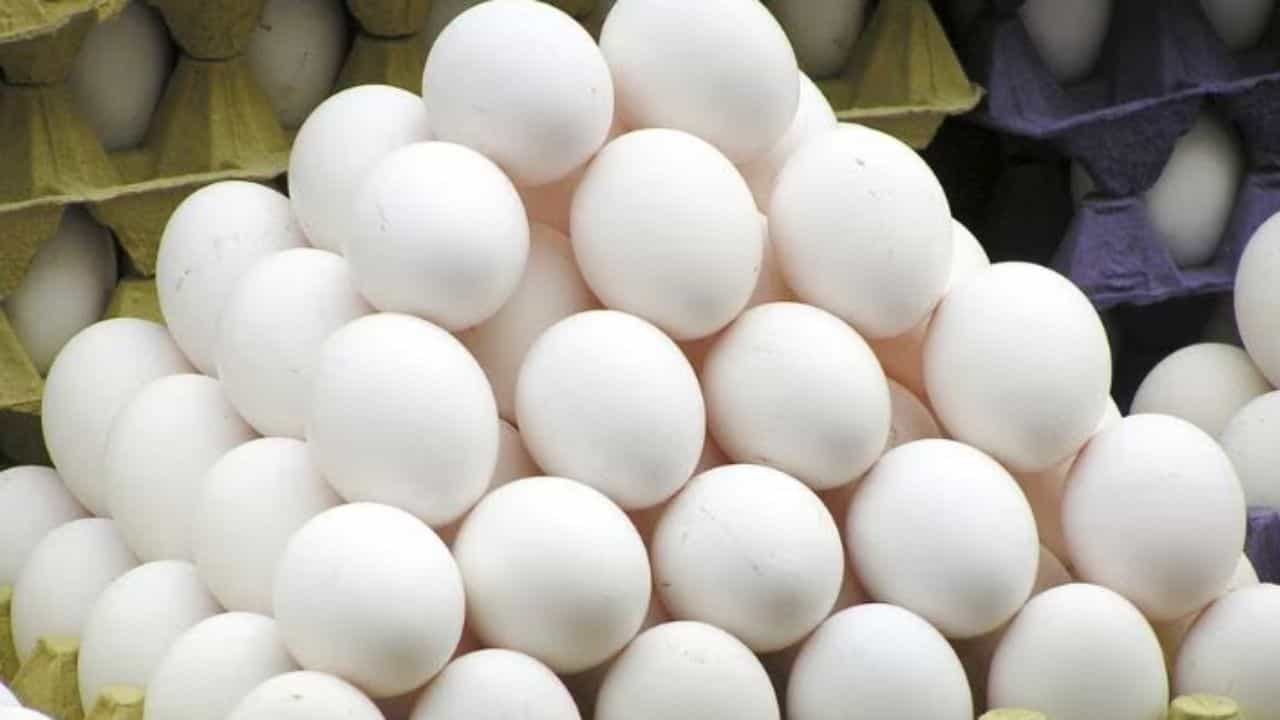 30 दिवसांत 1000 अंडी खाल्ल्यानंतर झाला जबरदस्त बदल, डॉक्टरही अवाक