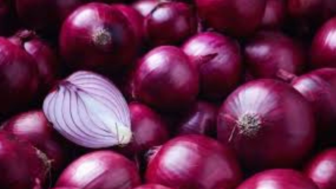 कांदा स्वयंपाकघरात नियमित लागणारा पदार्थ आहे. खाद्यपदार्थांचा स्वाद वाढवणारा कांदा दातांच्या दुखण्यावर गुणकारी आहे. कांदाचे तुकडे करुन दातांच्या मध्ये ठेवल्यास दात दुखणे कमी होते.