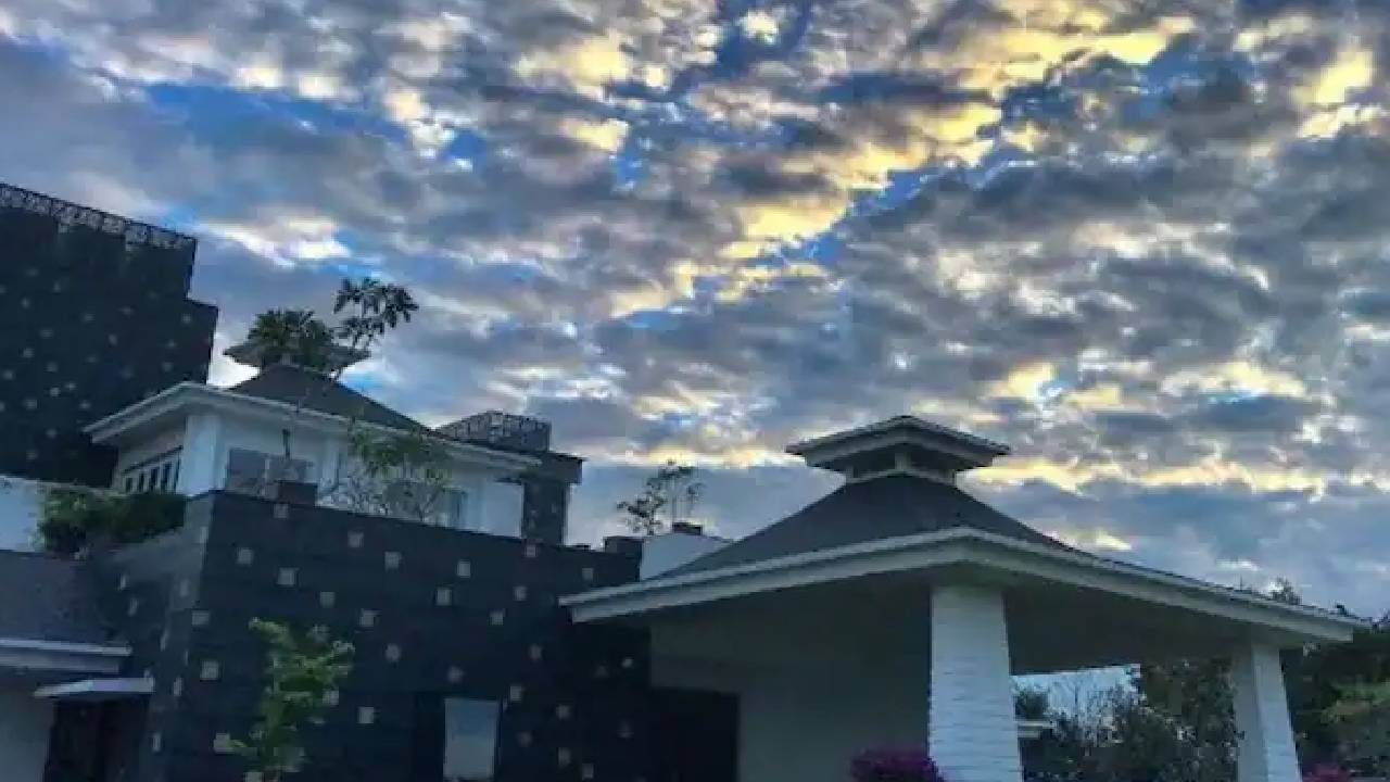 धोनीचा हा फार्म हाऊसवर हिरवळ आहे. या ठिकाणी विविध झाडं आहेत. धोनही निसर्ग प्रेमी आहे.   