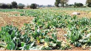 IMD Weather Update : ताशी 125 किमी वेगानं चक्रीवादळाचं संकट; अतिमुसळधार पावसाचा इशारा, आयमडीची मोठी अपडेट