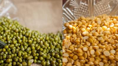 मूग, मसूर कि हरभरा डाळ … कोणत्या डाळीत असतात सर्वाधिक प्रथिने?