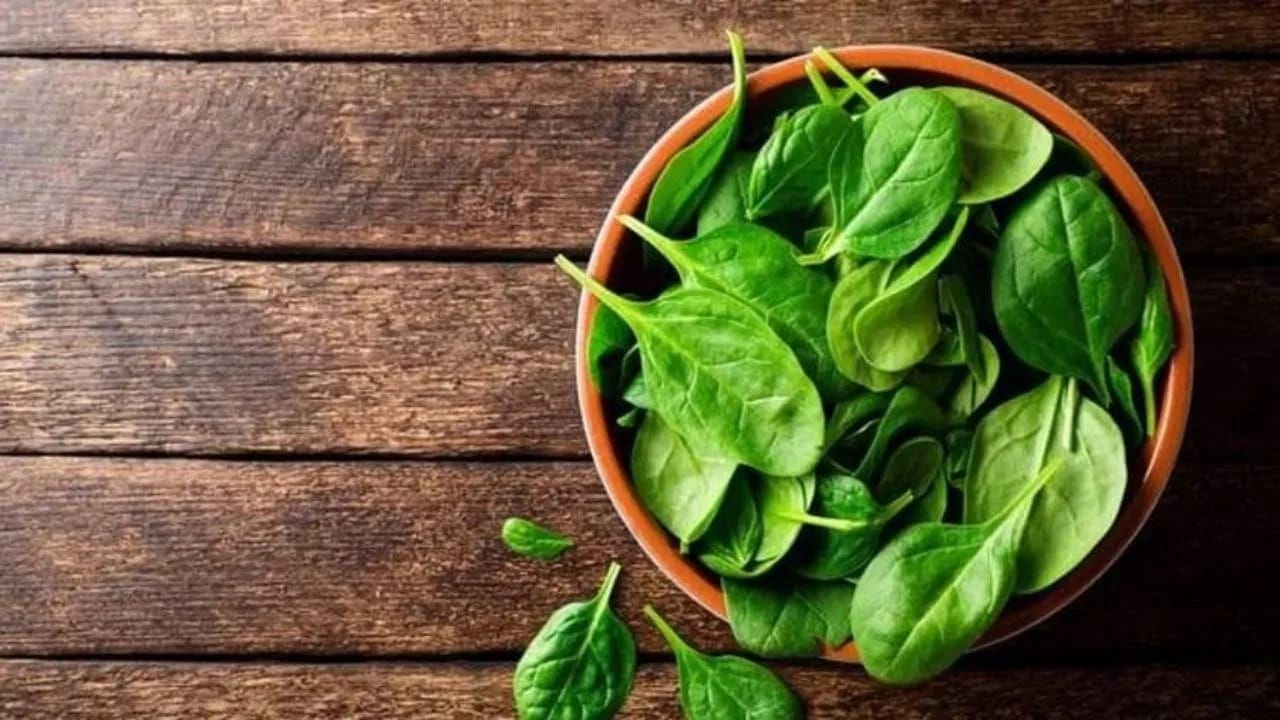 Palak Water: वाढलेलं वजन झटपट कमी करायचंय? स्वयंपाकघरातील हा पदार्थ ठरेल फायदेशीर... Palak Water: वाढलेलं वजन झटपट कमी करायचंय? स्वयंपाकघरातील हा पदार्थ ठरेल फायदेशीर...