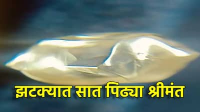 सात पिढ्या झटक्यात श्रीमंत, शेतात खोदकामादरम्यान सापडले असे काही की... दारिद्रय संपले