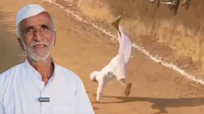 बैलगाडा शर्यतीत 80 वर्षीय तरुणाची कमाल, असे काही की व्हिडिओ प्रचंड व्हायरल