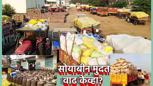 नाफेडवर खरेदी केंद्रावर लांबच लांब रांगा; आज शेवटचा दिवस, मायबाप सरकार सोयाबीन शेतकर्यांची परीक्षा पाहू नका, मुदत वाढीचा निर्णय केव्हा?