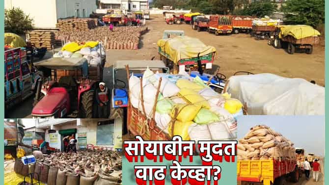 नाफेडवर खरेदी केंद्रावर लांबच लांब रांगा; आज शेवटचा दिवस, मायबाप सरकार सोयाबीन शेतकर्यांची परीक्षा पाहू नका, मुदत वाढीचा निर्णय केव्हा?