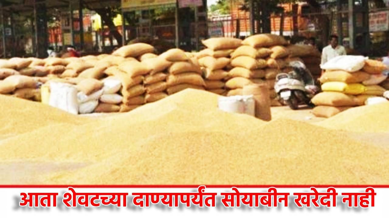 Soybeans Deadline : सरकारने शेतकर्यांच्या तोंडाला पानं पुसली, सोयाबीन खरेदीला मुदतवाढ नाहीच, पणन विभागाचा तो आदेश काय? Soybeans Deadline : सरकारने शेतकर्यांच्या तोंडाला पानं पुसली, सोयाबीन खरेदीला मुदतवाढ नाहीच, पणन विभागाचा तो आदेश काय?