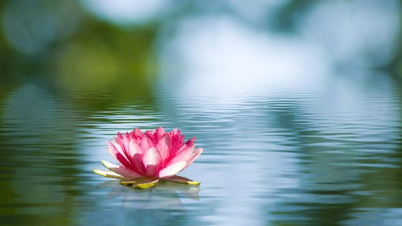 या 6 उपायांनी तुमच्या घरात येईल सुख-समृद्धी, आनंदी जीवनाचा हे आहेत उत्तम मार्ग