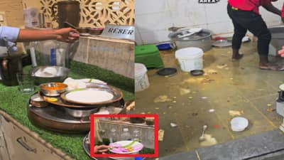 प्रसिद्ध रेस्टॉरंटमध्ये एवढा खाणेरडा प्रकार; एका ग्राहकाच्या ताटातील उरलेला कांदा,चटणी दुसऱ्या ग्राहकाला, व्हिडीओ व्हायरल