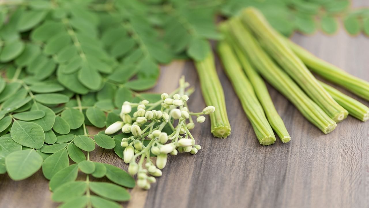 Benefits of Moringa Leaves: शेवगाच्या पानांचे आरोग्यदायी फायदे एकून व्हाल थक्क...!