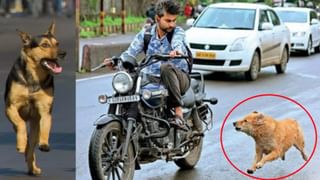 Valentine Day 2025: प्रेमात वेळकाळ असतं का? पाहा हे शेड्युल, पाळावं लागतं वेळापत्रक?
