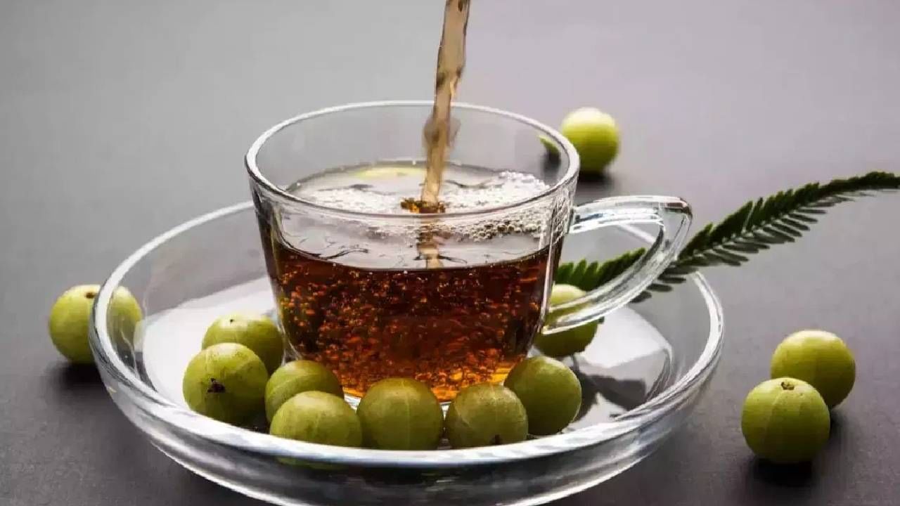 Amla Tea: दररोज सकाळी रिकाम्या पोटी 'ही' ड्रिंक प्या; पिंपल्सच्या समस्या दूर करा Amla Tea: दररोज सकाळी रिकाम्या पोटी 'ही' ड्रिंक प्या; पिंपल्सच्या समस्या दूर करा