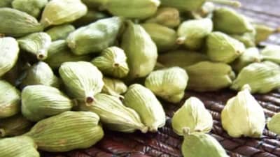 रोज एक हिरवी वेलची तोंडात ठेवली तर काय होतं? जाणून घ्या