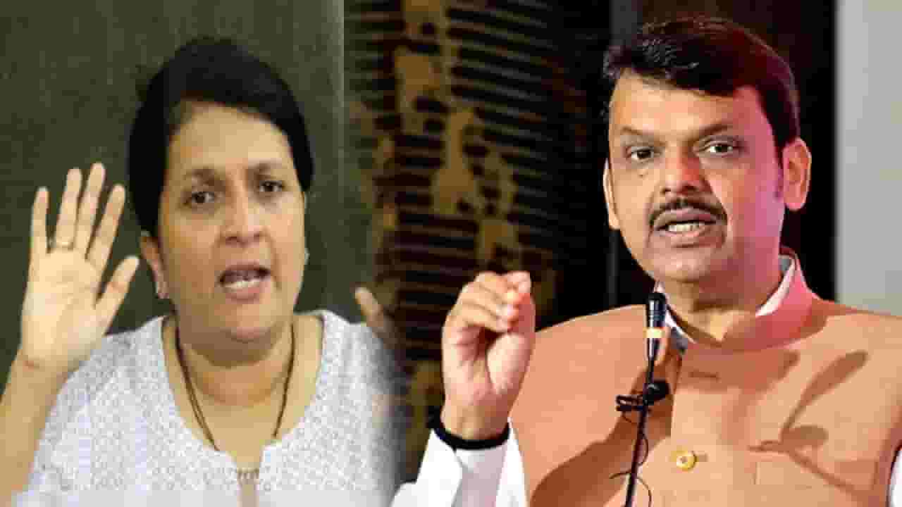 Anjali Damania Video : '...याची माहिती मुख्यमंत्र्यांना आहे का?', बीड हत्या प्रकरणावरून दमानियांचा पुन्हा सरकारवर निशाणा