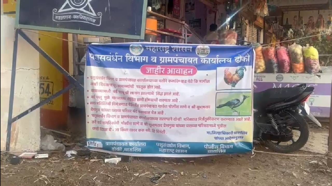 कोंबड्यांमध्ये बर्ड फ्ल्यूची सर्रासपणे लागण होत असल्याचं दिसून येत आहे. पण आता कावळ्यांनाही बर्ड फ्ल्यूची लागन झाल्याचं आढळून आलं आहे.