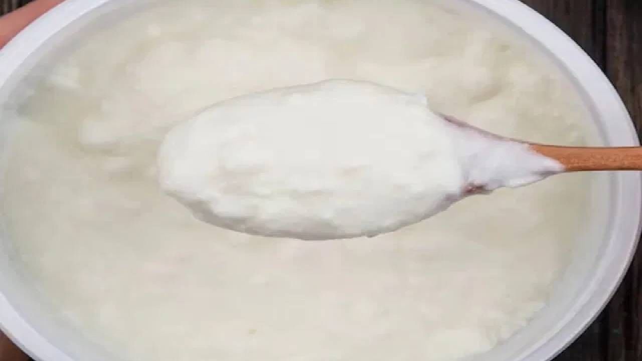 Benefits of curd and black pepper : दह्यात काळी मिरी टाकून खाण्याचे फायदे काय? जाणून घ्या एक्सपर्टकडून