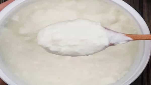 Benefits of curd and black pepper : दह्यात काळी मिरी टाकून खाण्याचे फायदे काय? जाणून घ्या एक्सपर्टकडून