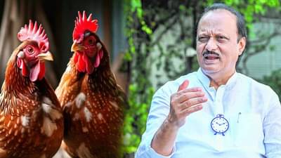 कोंबड्यांचं मासं खाल्ल्यानं GBS ची लागण? अजित पवारांचं राज्यातील जनतेला एकच आवाहन, ‘धोका टाळण्यासाठी…’