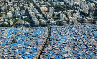 किल्ल्यावरील पर्यटनात गोंधळ पडला महागात, मधमाश्यांचे मोहोळ उठले, एकाचा मृत्यू