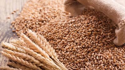 Healthy Food: गव्हाच्या पिठामध्ये या ५ गोष्टी मिसळा आरोग्य राहिल निरोगी...