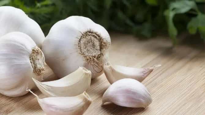 रात्री लसूण खाल्ल्यास काय होते? तोटे की फायदे? जाणून घ्या