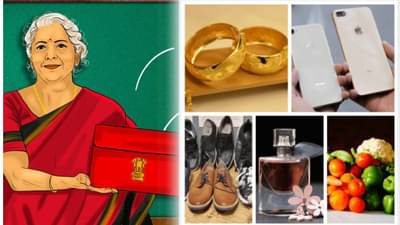 Union Budget 2025 : यंदाच्या अर्थसंकल्पात काय स्वस्त-काय महाग? बघा एकाच व्हिडीओमध्ये….