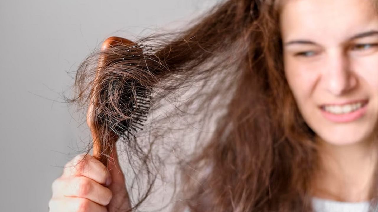 तुम्ही स्प्लिट एंड्समुळे त्रस्त झालेले आहात? 'हे' हेअर ऑइल तुमची समस्या करेल दूर तुम्ही स्प्लिट एंड्समुळे त्रस्त झालेले आहात? 'हे' हेअर ऑइल तुमची समस्या करेल दूर