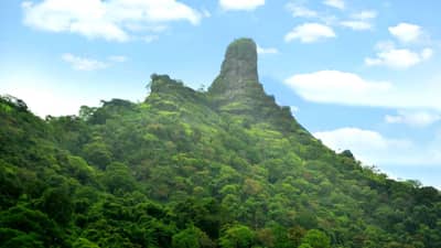 किल्ल्यावरील पर्यटनात गोंधळ पडला महागात, मधमाश्यांचे मोहोळ उठले, एकाचा मृत्यू