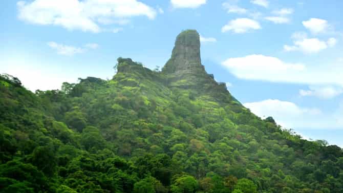 किल्ल्यावरील पर्यटनात गोंधळ पडला महागात, मधमाश्यांचे मोहोळ उठले, एकाचा मृत्यू