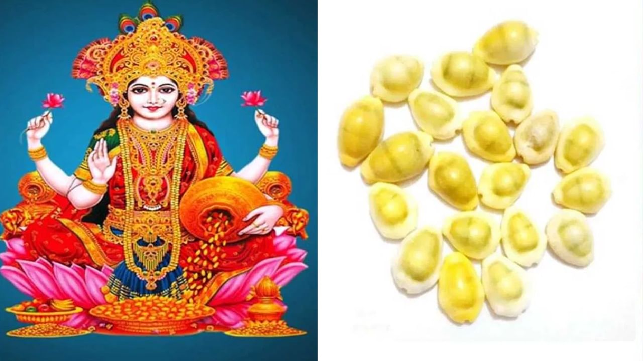 ज्योतिषशास्त्रानुसार,कवडीचा संबंध लक्ष्मी देवीसह आहे. कवडी ही संपत्ती मिळवण्यासाठी फायदेशीर मानली जाते. त्यामुळे 5 कवड्यांवर हळदी लावावी आणि त्या मंदिरात किंवा देव्हाऱ्यात ठेवाव्यात. 