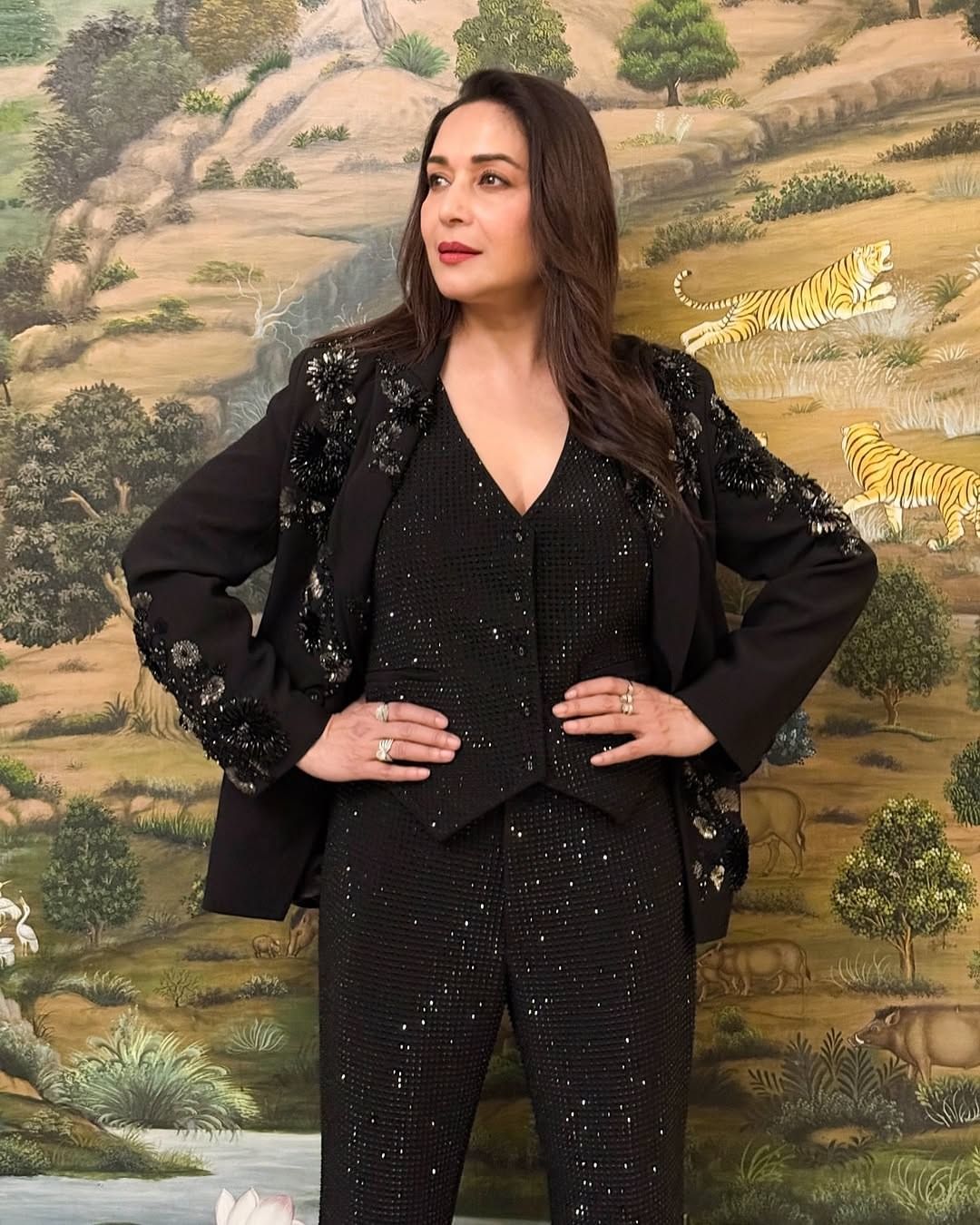 अभिनेत्री माधुरी दीक्षित हिच्या चाहत्यांची संख्या आजही प्रचंड मोठी आहे. माधुरीला फॉलो करणारे चाहते फक्त भारतात नाही तर, भारताबाहेर देखील आहेत. 