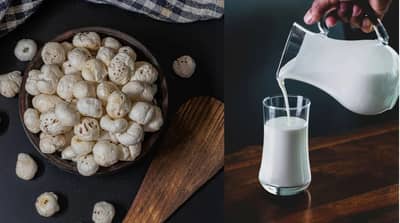मखाने दूधासोबत खाल्ल्याने काय मिळतात लाभ ? तज्ज्ञांकडून जाणा