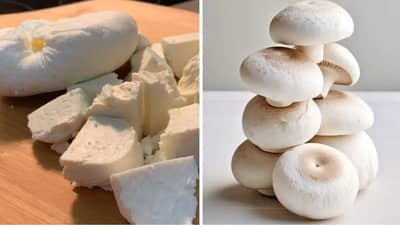 Weight Loss: पनीर किंवा मशरूम वजन कमी करण्यासाठी काय खावे? तज्ज्ञांकडून जाणून घ्या