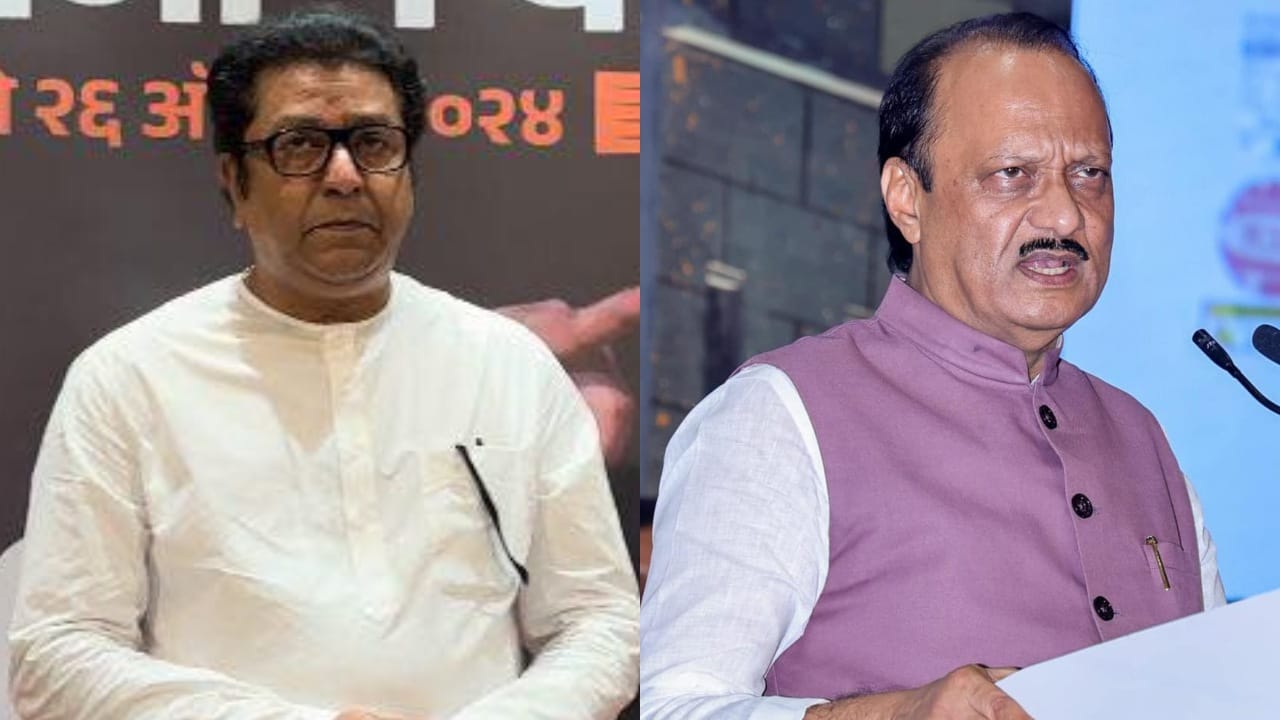 अजित पवारांनी भाजपसोबत लग्नगाठ बांधली म्हणून... अमित ठाकरेंवरील 'त्या' टीकेवर मनसेचे प्रत्युत्तर