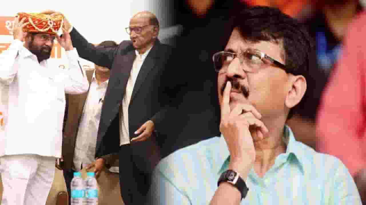 'संजय राऊत यांची प्रतिक्रिया आश्चर्यकारक...', थेट पवार कुटुंबातूनच फटकारे