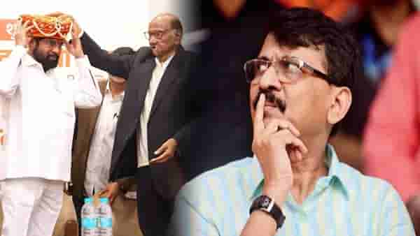‘संजय राऊत यांची प्रतिक्रिया आश्चर्यकारक…’, थेट पवार कुटुंबातूनच फटकारे