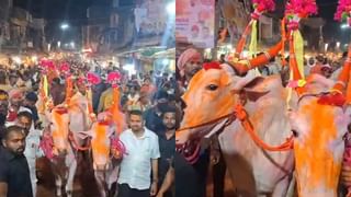 जंगलात मिळणारी ही वनस्पती आहे खूपच पॉवरफूल; रिझल्टमध्ये शिलाजीतचाही बाप