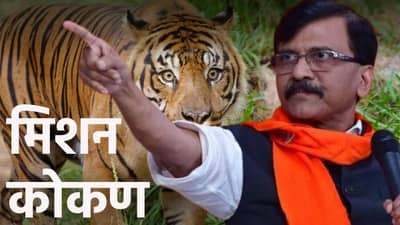 ऑपरेशन टायगर थोपवण्यासाठी ठाकरे गट सरसावला; संजय राऊत म्हणाले, आम्ही सर्व नेते...