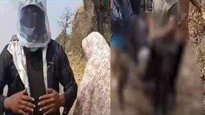 तुम्ही गिर्यारोहनासाठी जात असाल तर हा व्हिडीओ बघाच, असंख्य मधमाश्यांचा गिर्यारोहकांवर हल्ला, नेमकं काय झालं?