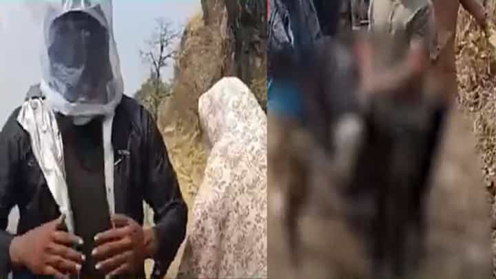 तुम्ही गिर्यारोहनासाठी जात असाल तर हा व्हिडीओ बघाच, असंख्य मधमाश्यांचा गिर्यारोहकांवर हल्ला, नेमकं काय झालं? तुम्ही गिर्यारोहनासाठी जात असाल तर हा व्हिडीओ बघाच, असंख्य मधमाश्यांचा गिर्यारोहकांवर हल्ला, नेमकं काय झालं?