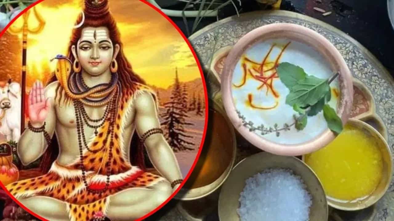 महाशिवरात्रीला कडक उपवास करताय? या गोष्टी ठेवा लक्षात अन्यथा आरोग्यावर होईल परिणाम