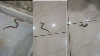 सर्व सरकारी कार्यालयात मराठी बोलणे अनिर्वाय, फडणवीस सरकारचा मोठा निर्णय